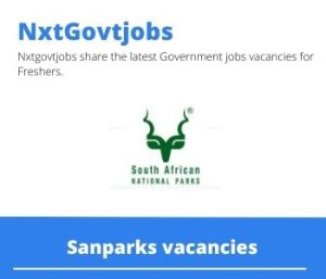 Sanparks Biodiversity Stewardship Facilitator Vacancies in Gqeberha – Deadline 16 Oct 2023