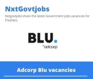 Adcorp Blu Business Relationship Manager Vacancies in Queenstown- Deadline 19 Jun 2023